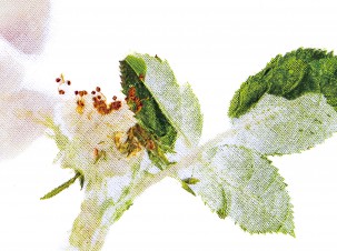 DESIGN WITHOUT BORDERS – REFLECTIONS